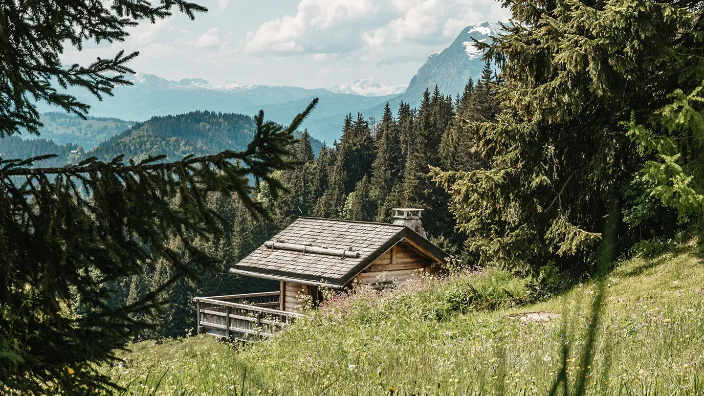 Vue sur un chalet depuis un champ fleuri en été sur le domaine des Portes du Soleil
