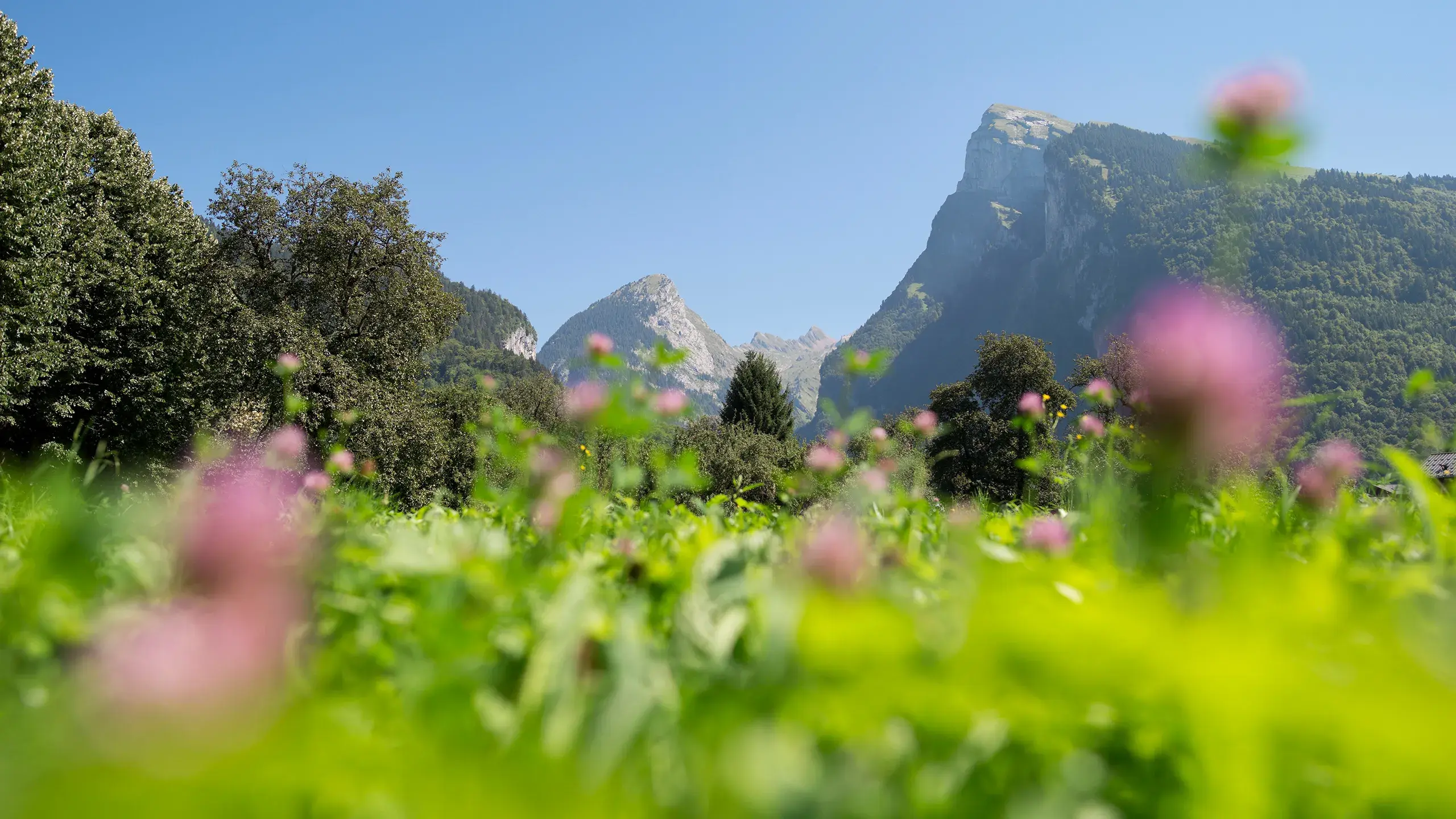 Samoëns - Été - Montagne