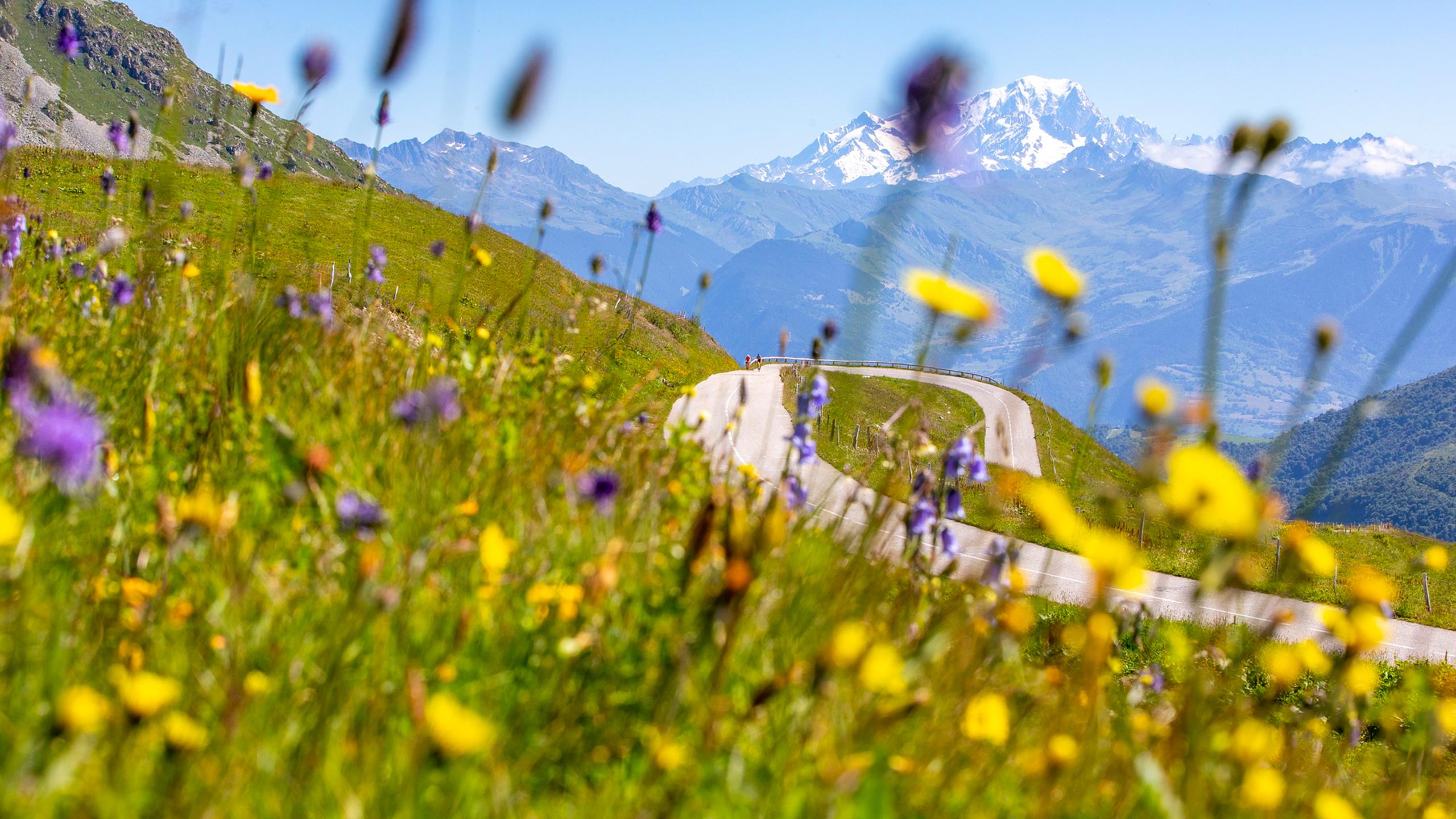 Valmorel - Été - Cyclisme sur route