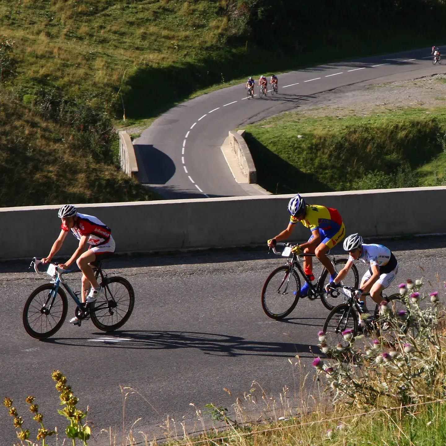Des cyclistes sont en train de grimper le Col de la Colombière
