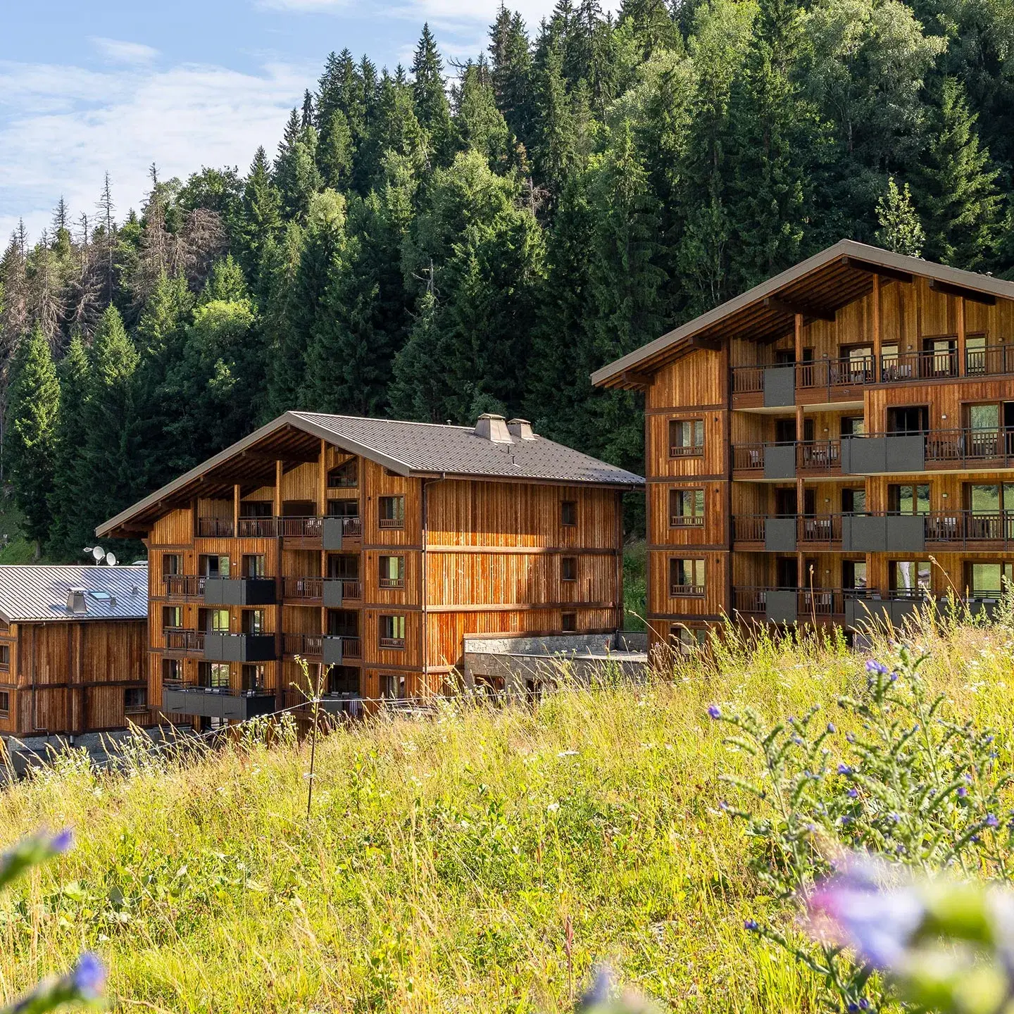 Chalets Láska aux Contamines-Montjoie, extérieur en été