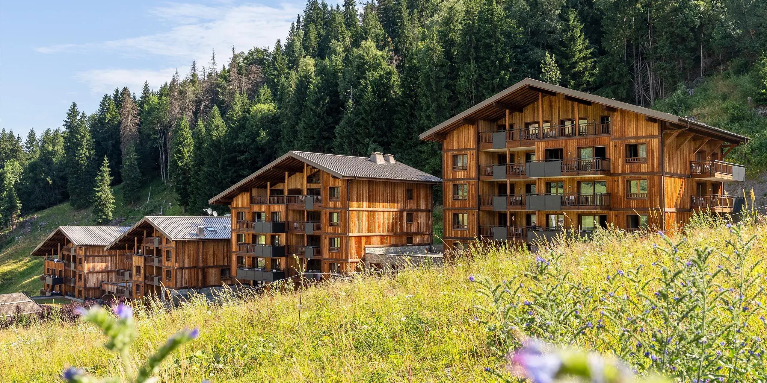 Chalets Láska aux Contamines-Montjoie, extérieur en été