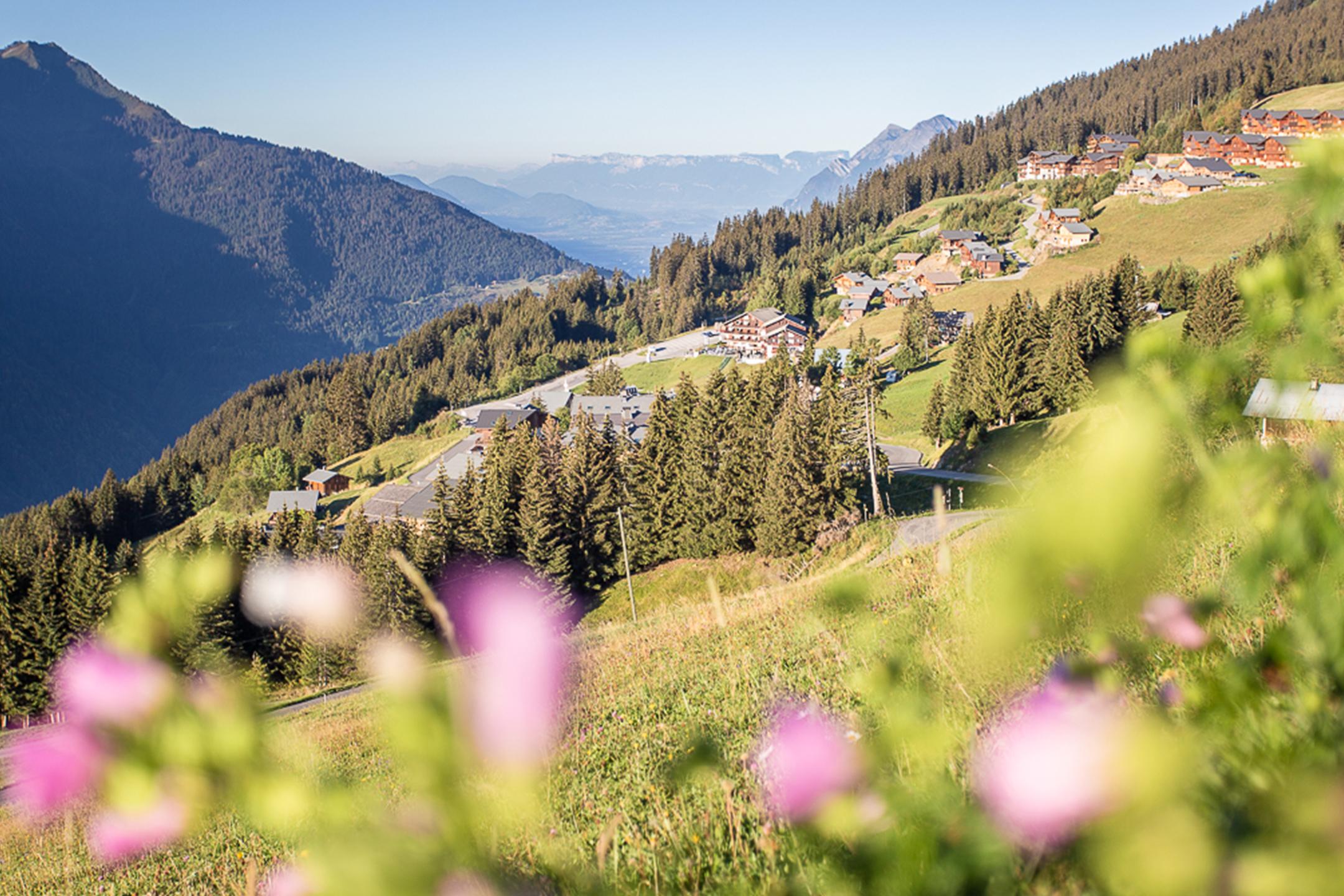 Vue sur le village des saisies en plein été