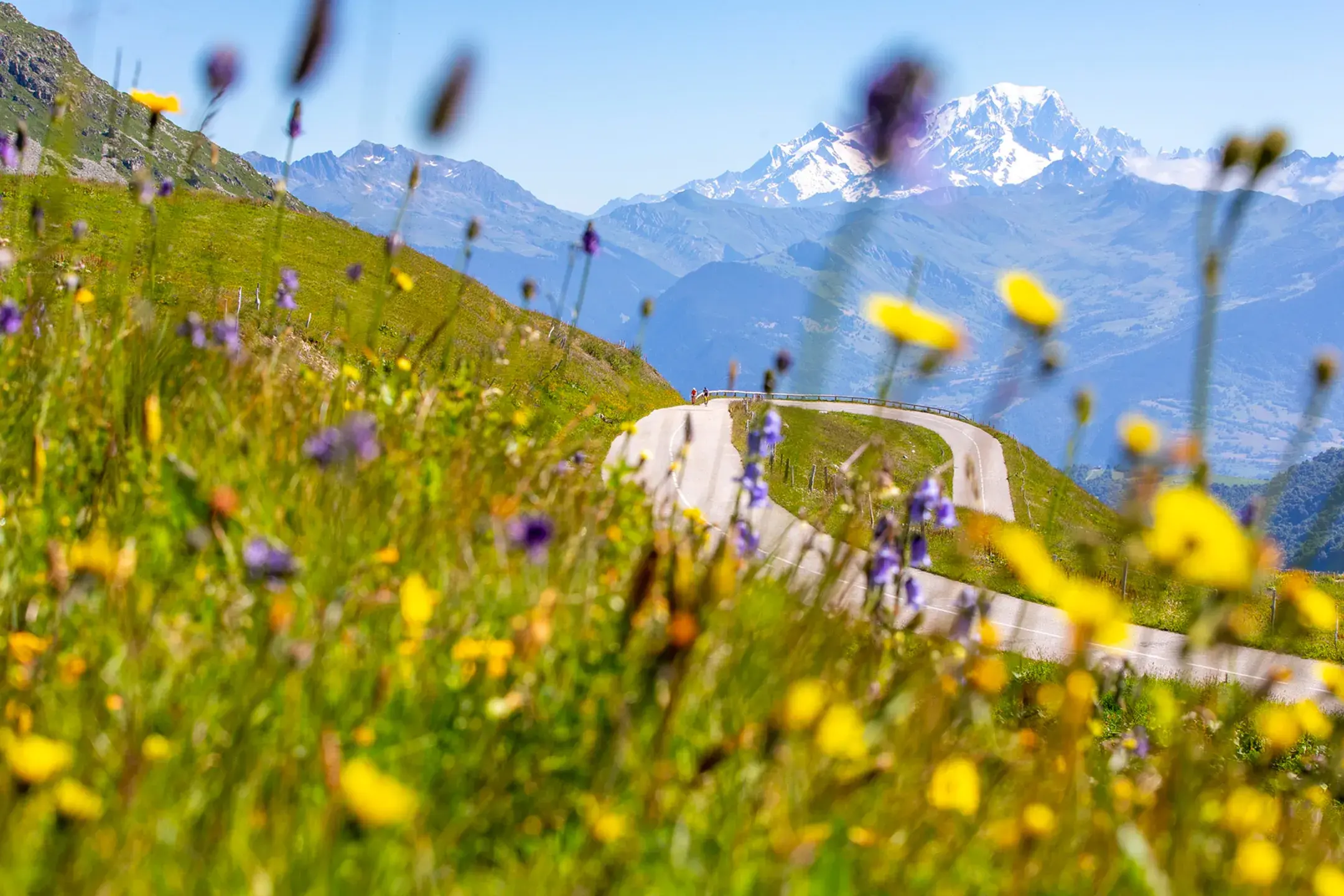 Valmorel - Été - Route Cyclisme