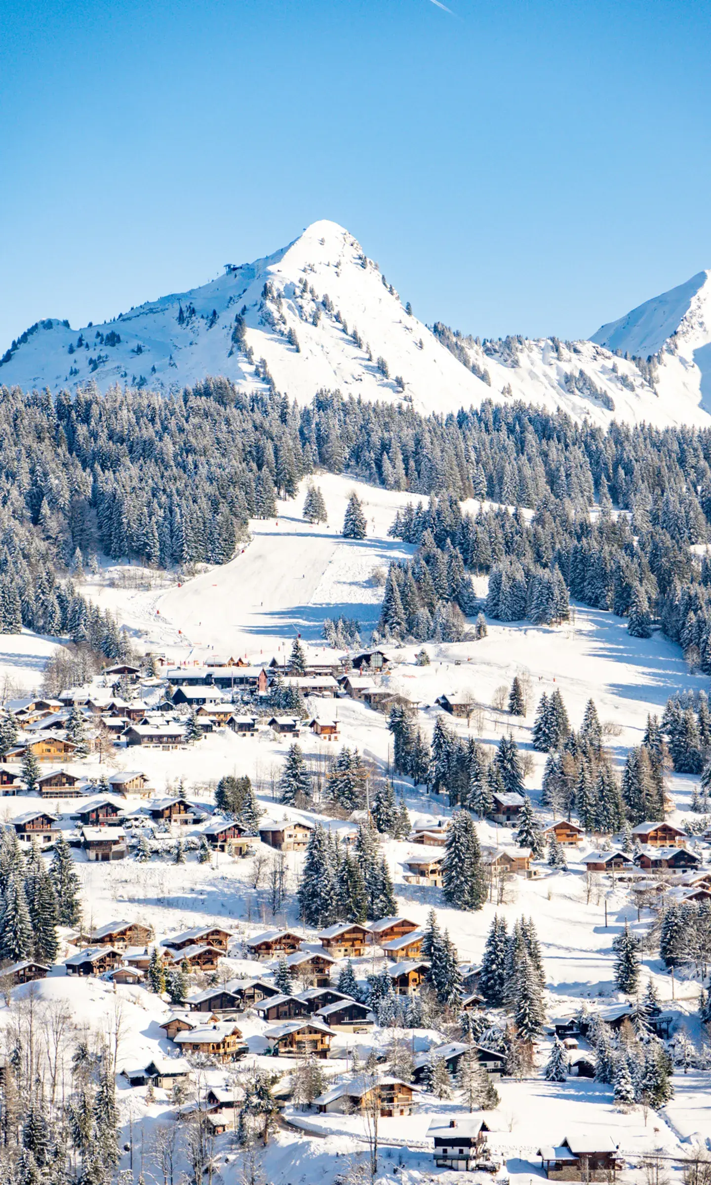 Les Gets - Village Authentique