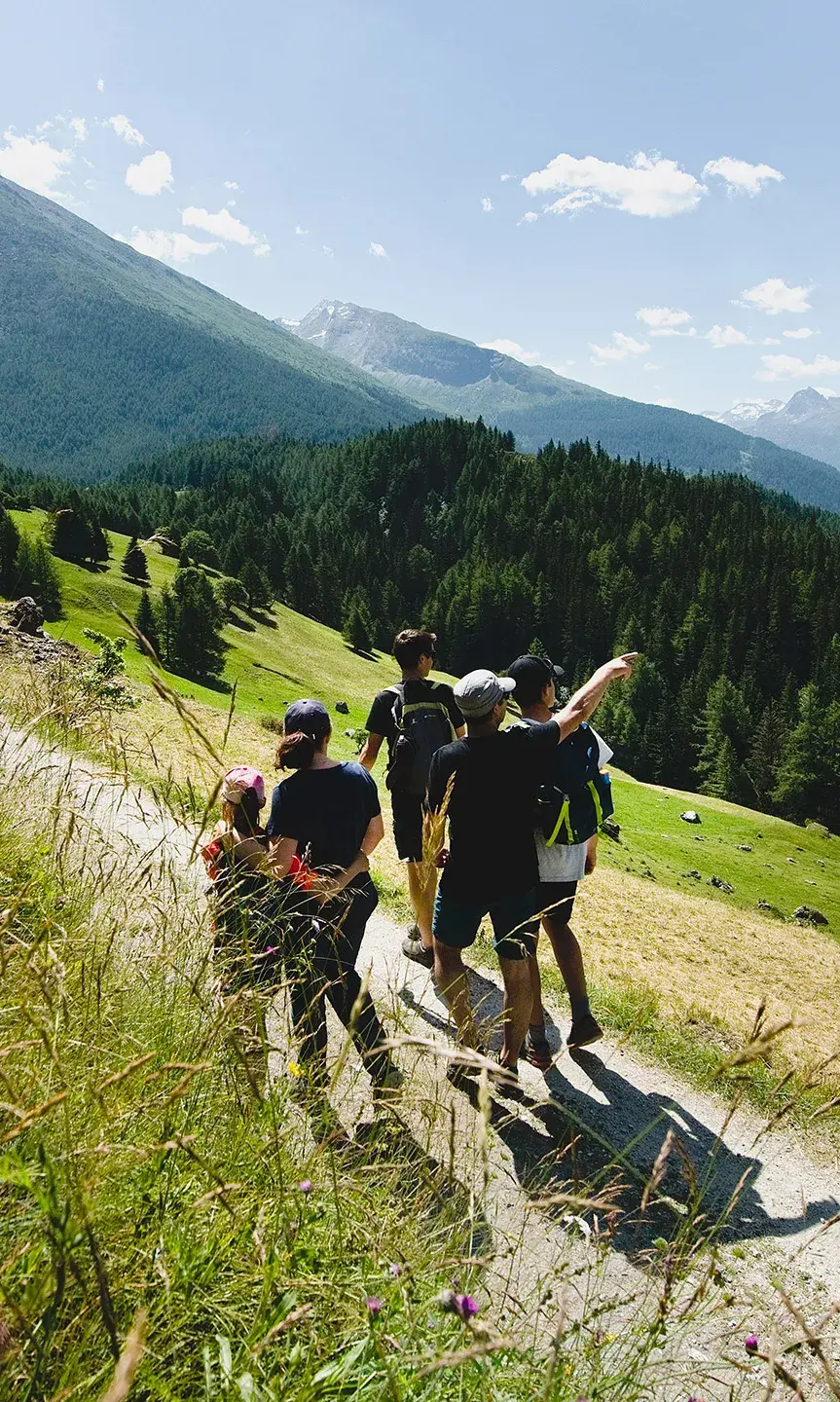 Sainte-Foy-Tarentaise - Été - Randonnée