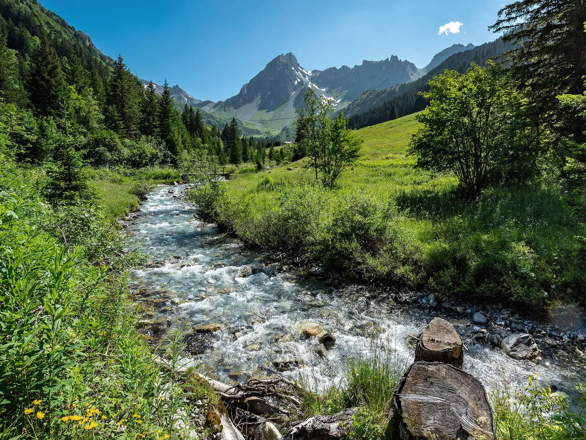 Paysage ensoleillée de la montagne et d'une rivière en été aux Contamines-Hauteluce