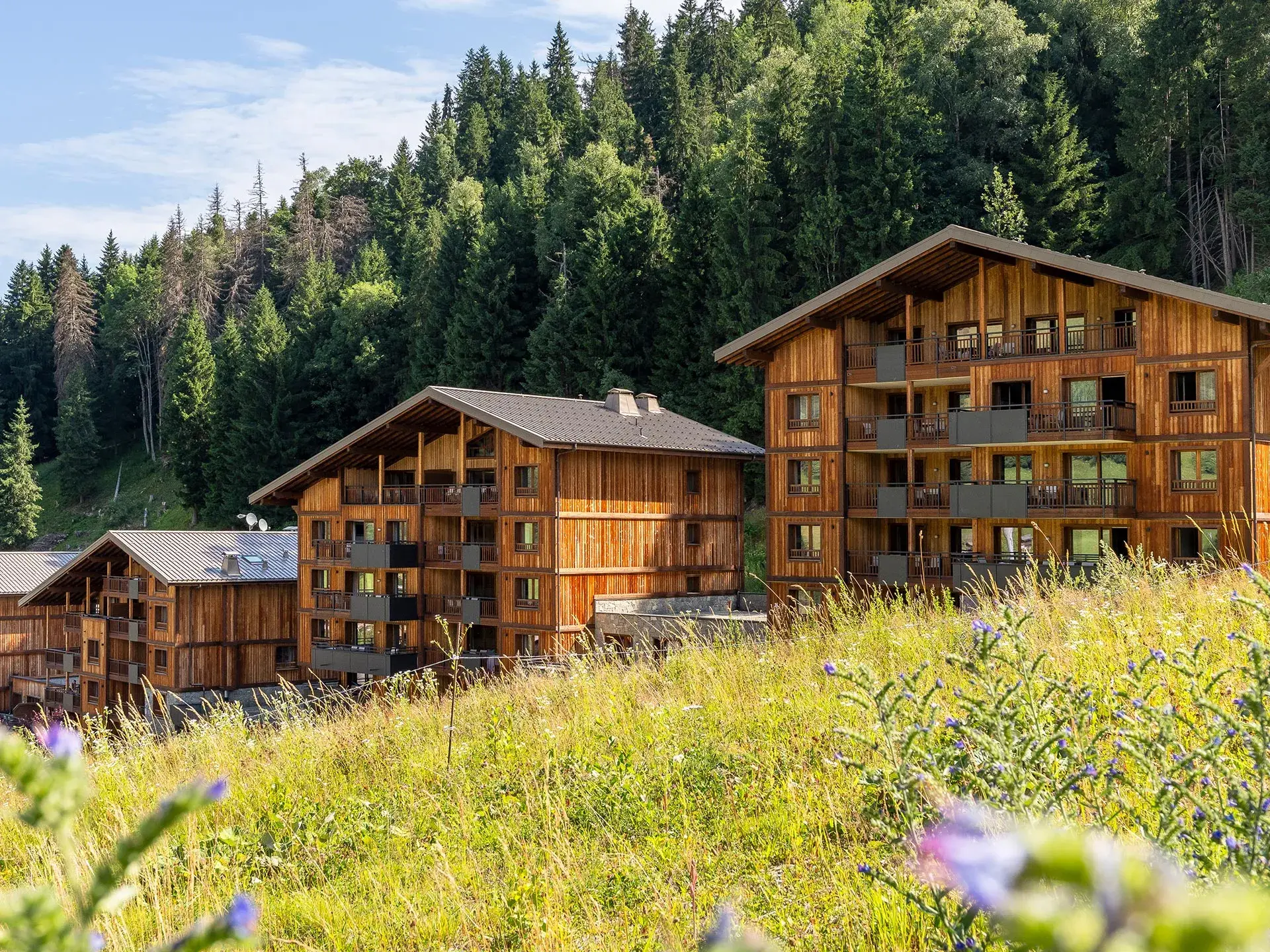 Chalets Láska aux Contamines-Montjoie, extérieur en été