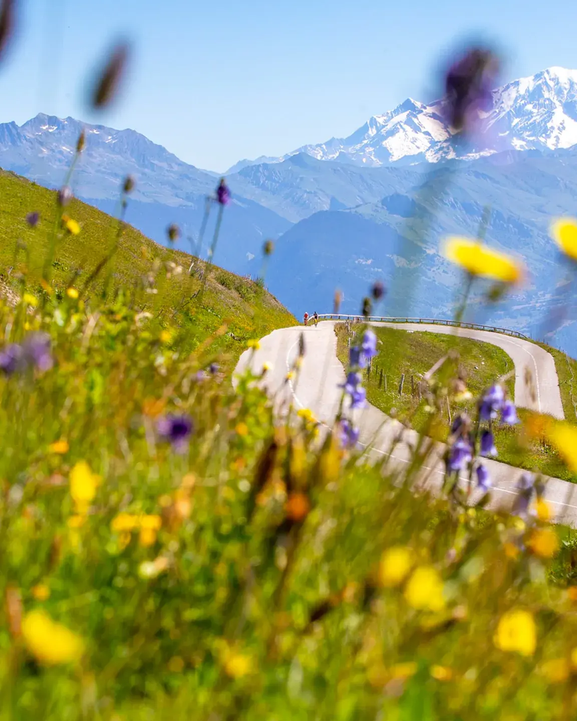 Valmorel - Été - Route Cyclisme
