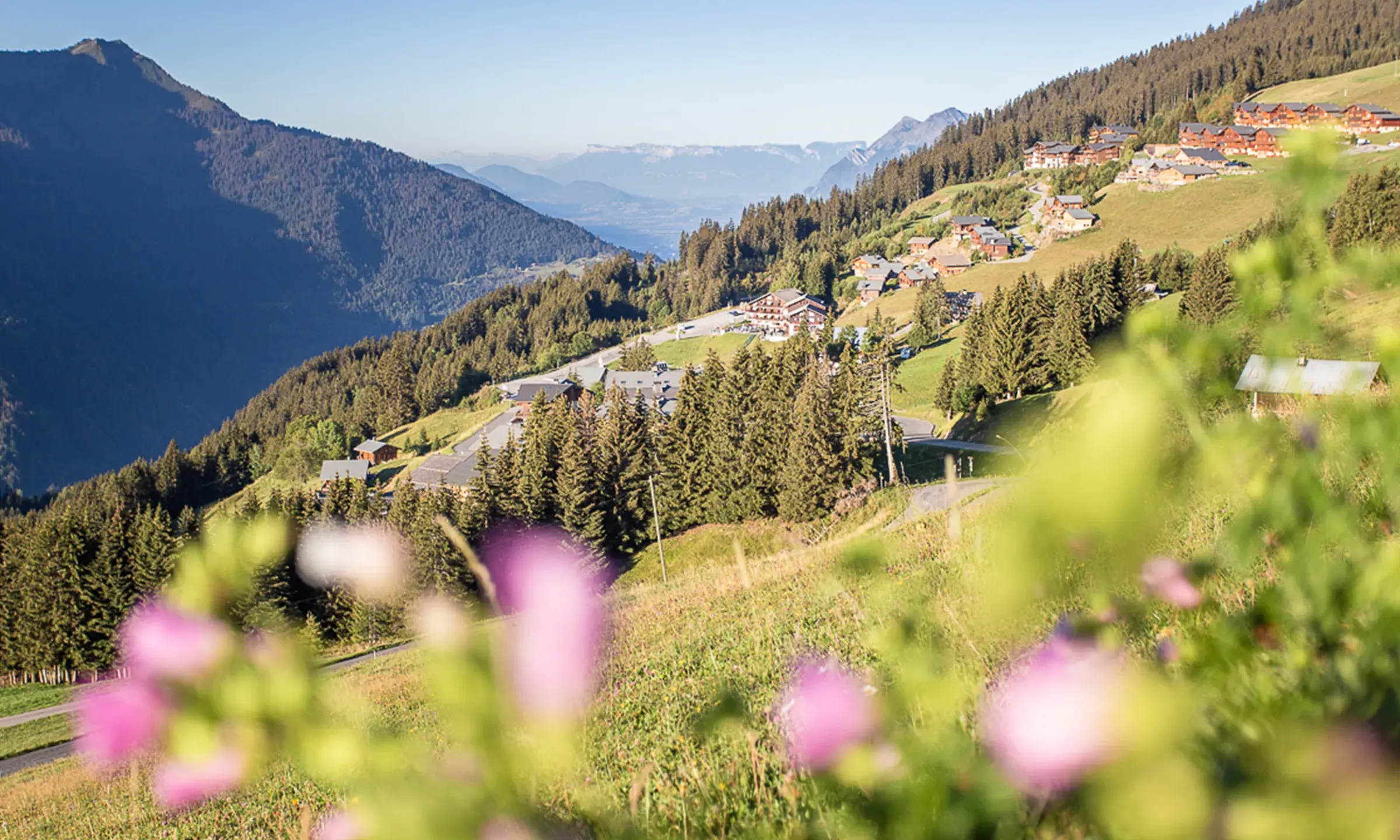 Vue sur le village des saisies en plein été 