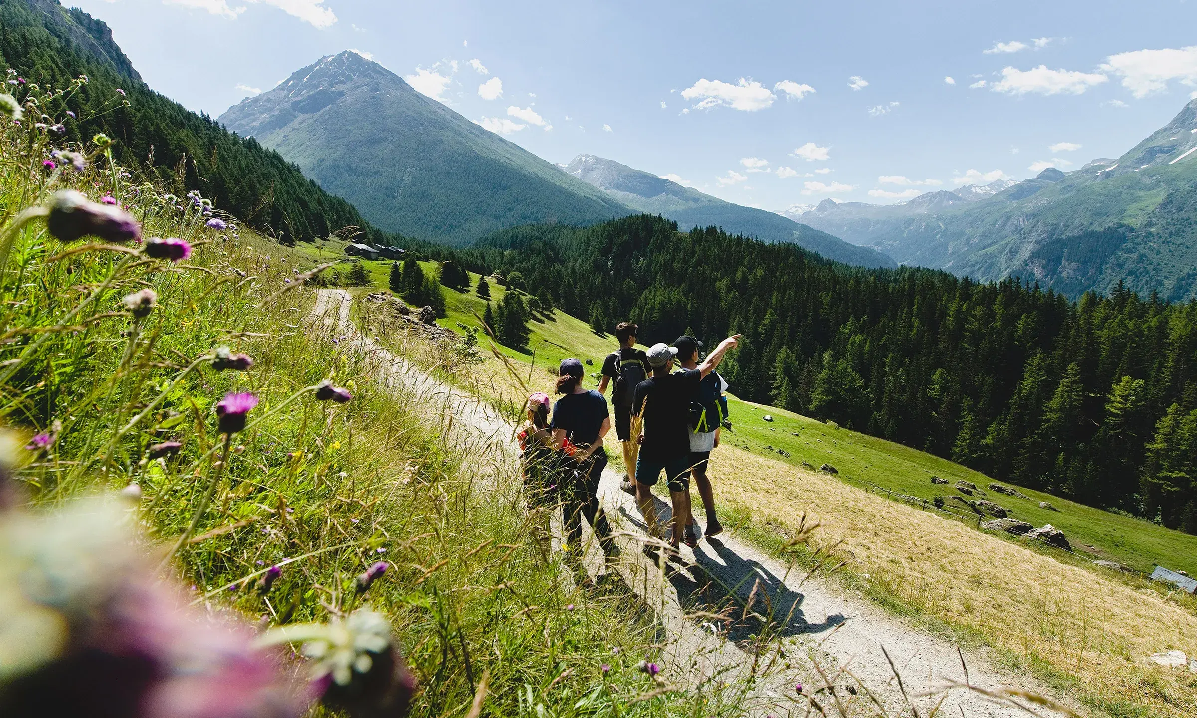 Sainte-Foy-Tarentaise - Été - Randonnée