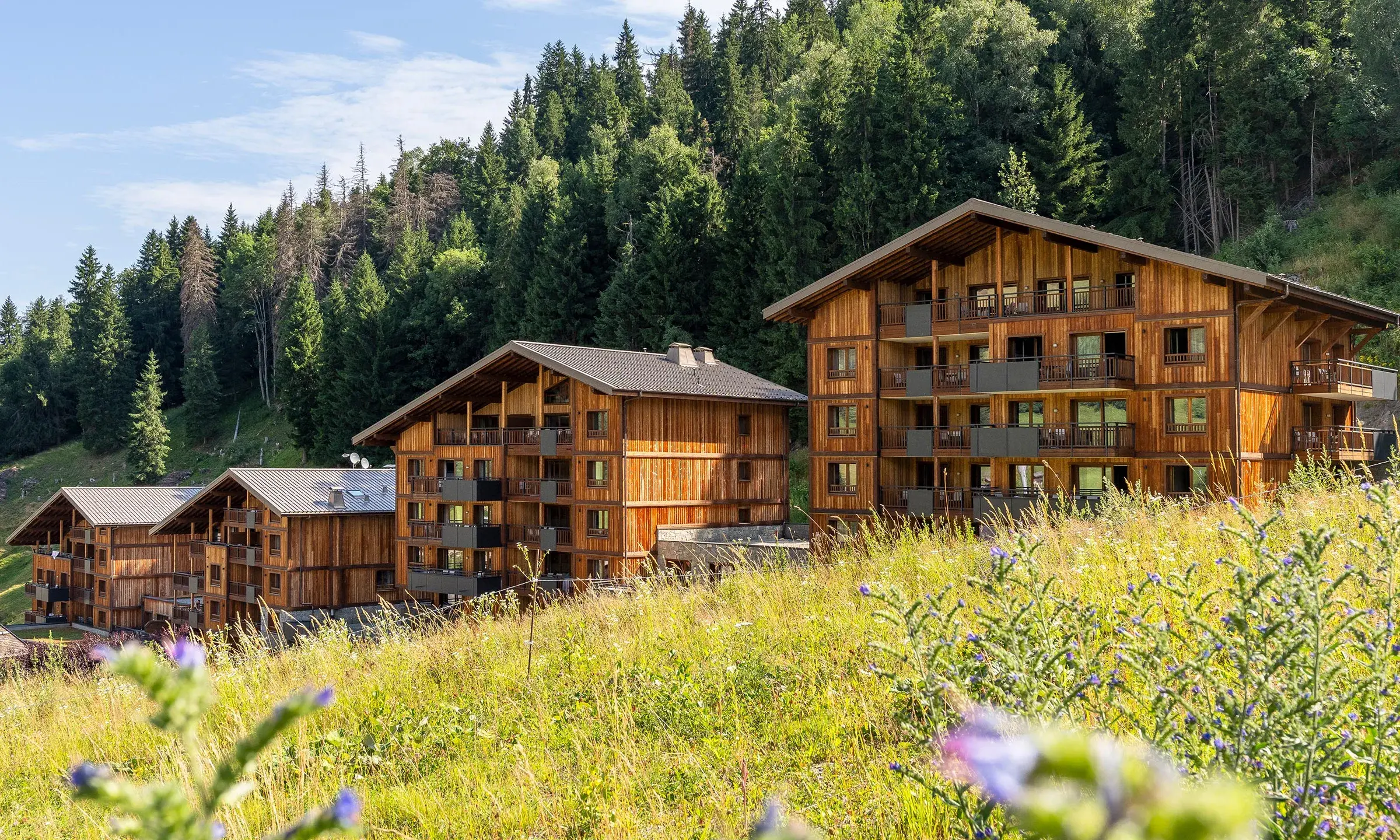 Chalets Láska aux Contamines-Montjoie, extérieur en été